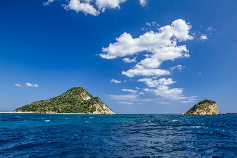 Snorkeling Set
